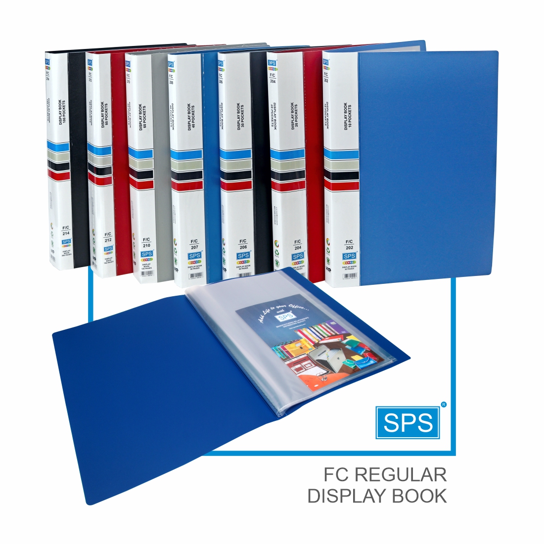 Display Book with 40 Pockets and Classification Label – Worldone India  Shoppe